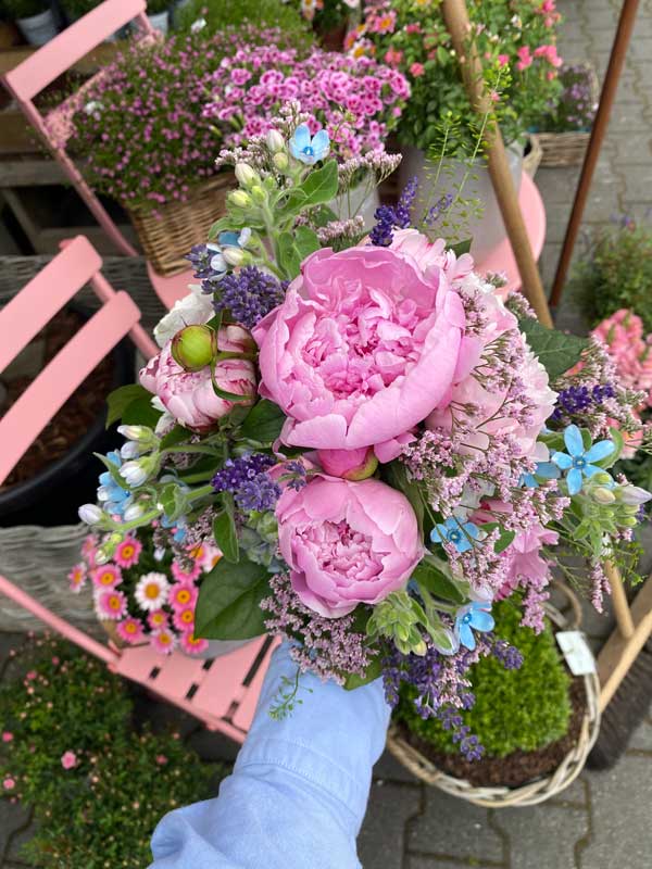 Impressionen blumenhofkehr.de